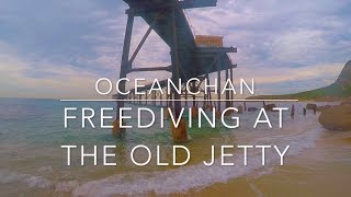 Freediving at the old jetty | Catherine Hill Bay | OceanChan