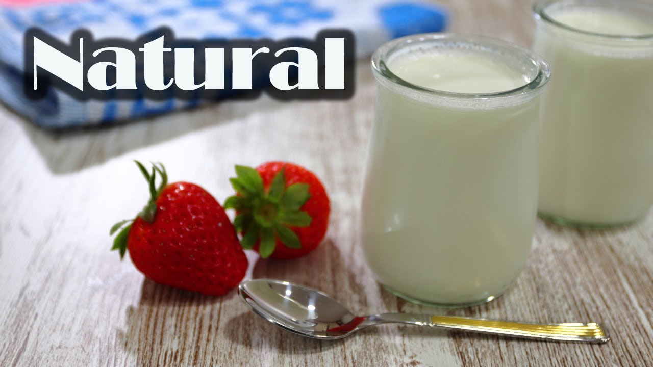 YOGURT NATURAL casero receta super fácil
