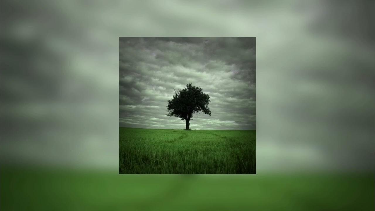 Grouper Poison Tree [ 8D Audio ] [ Lyrics in Description ] YouTube