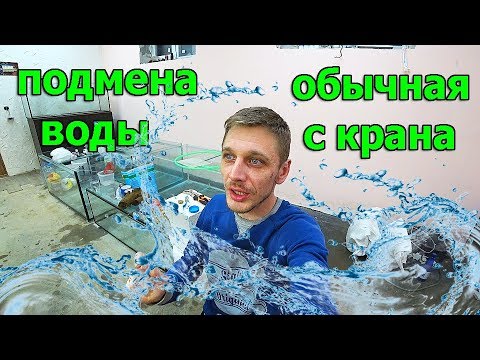 Вопрос: Сколько дней нужно отстаивать воду для её замены в аквариуме?