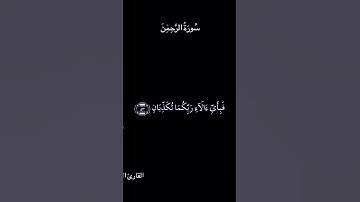 تلاوة عطرة من سورة الرحمن بصوت الشيخ ماهر المعيقلي