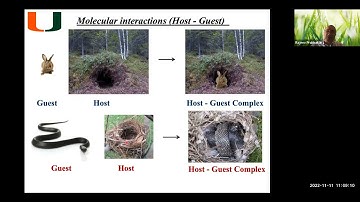 Applications of Computational Chemistry in the Development of Catalysts and Materials