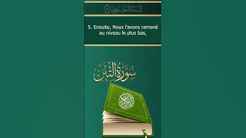 Sourate At-Tin | Mohammed Al-Faqih (95) سورة التين | محمد الفقيه