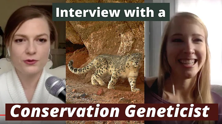 Interview with Snow Leopard Researcher and Conserv...