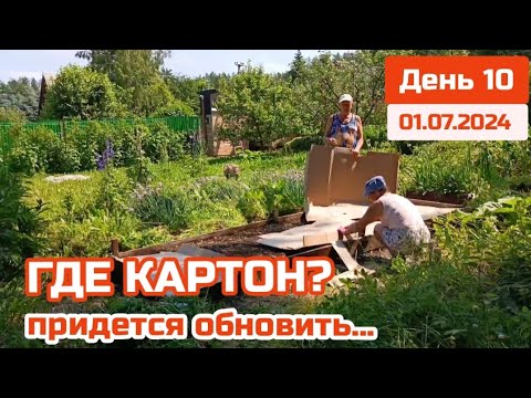 Картон в огороде