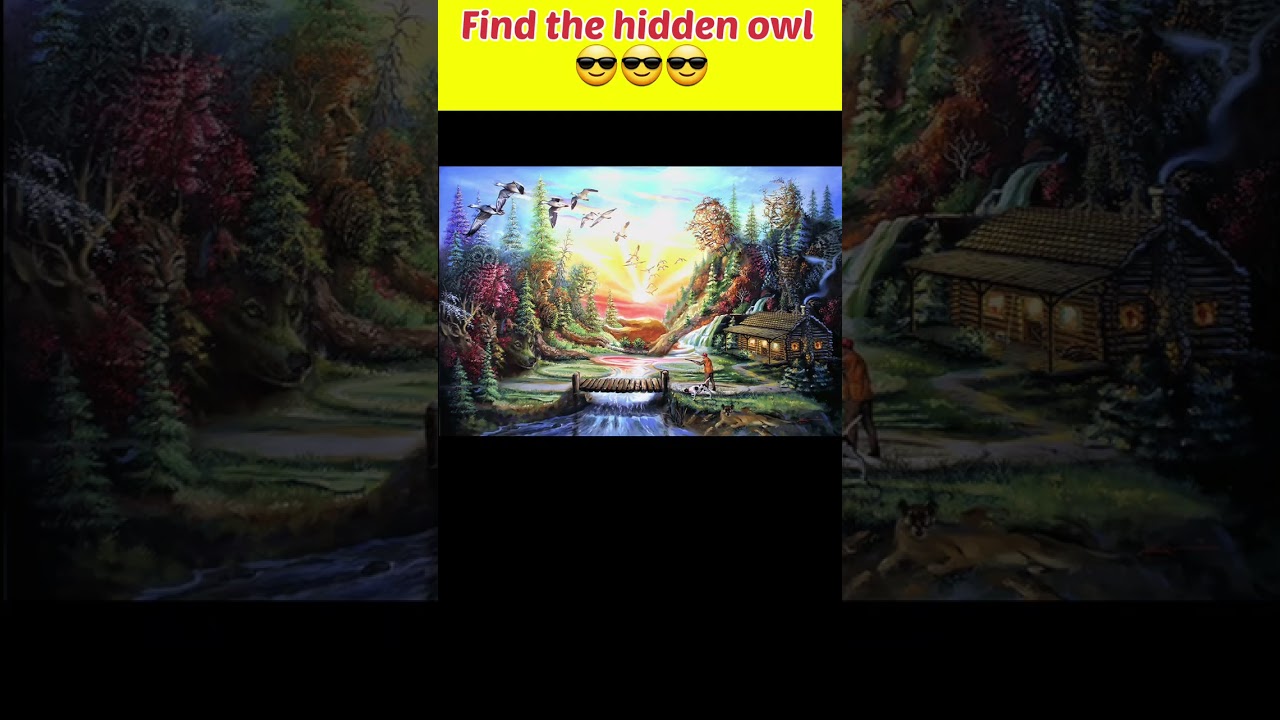 Find The Hidden Owl||optical illusion||