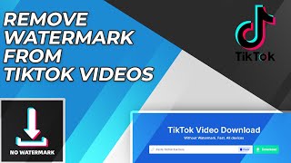 How To Download TikTok Videos Without Watermark  - TikTok Videos Without Watermark screenshot 4