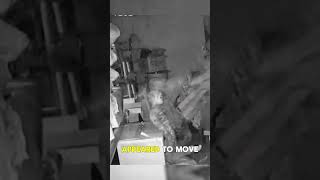 They Installed a Camera in the Storage Unit… Then the Doll Moved 😨