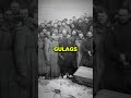 How Brutal were The Soviet Gulag Camps?