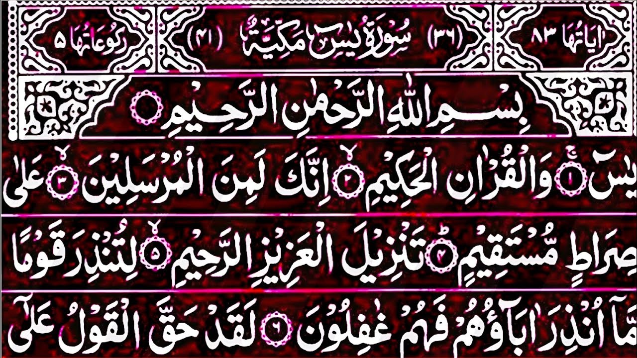 Surah Yasin Surah Rahman | Beautiful Recitation Surah Yaseen Surah Rahman Full | Quran Tilawat | 202