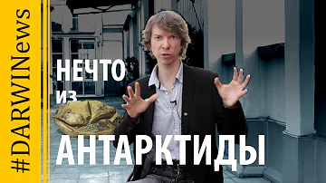 Мозазавры откладывали яйца. Ярослав Попов #DARWINews