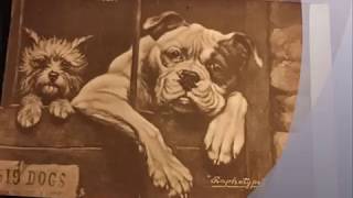 OEBKC Olde English Bulldogge Kennel Club History and Mission