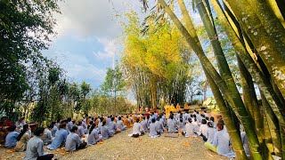 Tinh Hoa NIKAYA - Yêu Thích Núi Rừng & Nước Pháp Rửa Tâm