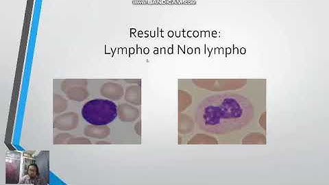 INTELLIGENT CONTROL SYSTEM