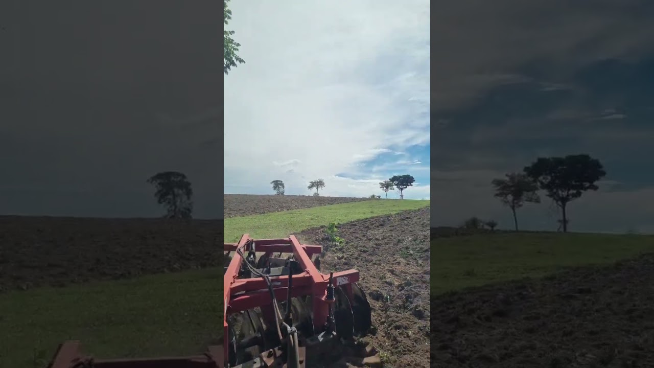 BRAZIL Live - Relaxing Tractor Work 🚜🌾 | Peaceful Farm Live | No Talking,  (Part 3/5)