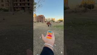 جيلي و الطفل الحزين