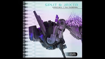 Split & Jaxta - Nu Normal