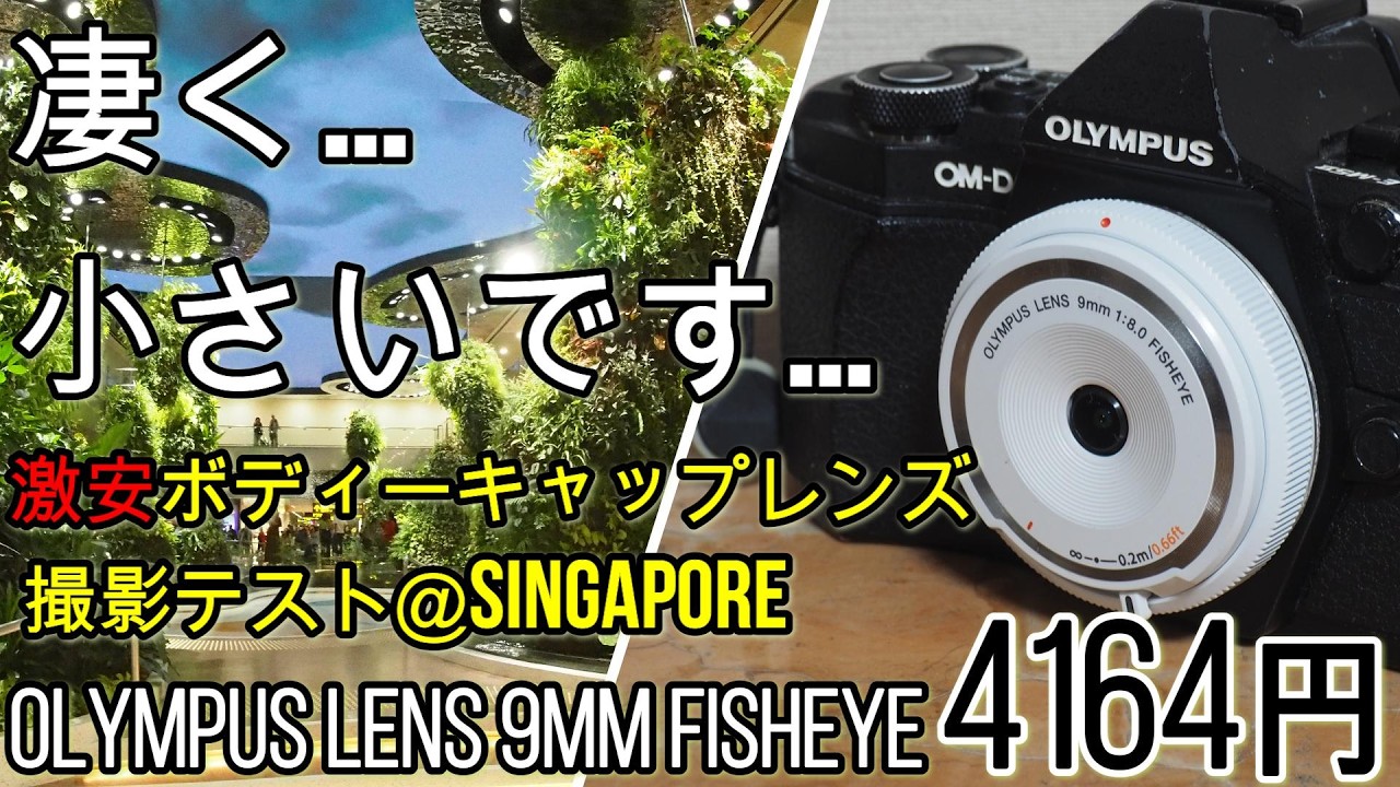 OLYMPUS ボディキャップレンズ 9mm＆15mmセット レンズレビュー】楽しく撮ろうぜ！『オリンパス ボディーキャップ