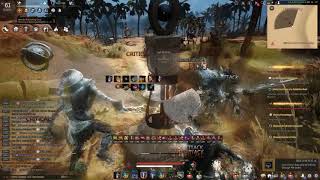Black Desert Valk grinding
