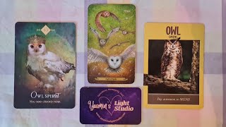 Owl's Advice. #collectivereading. #messagesfromtarot #owlspirit