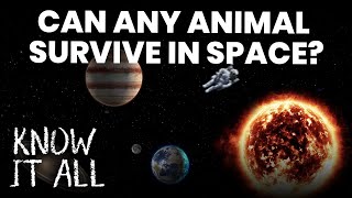 Can Any Animal Survive in Space? | Know It All S1E2 | FULL EPISODE | Da Vinci