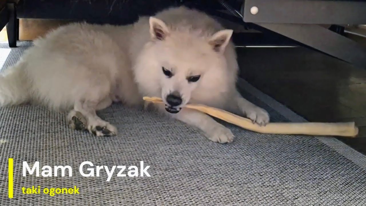 Smaczek, gryzaczek, memlam, nie przeszkadzać ;)