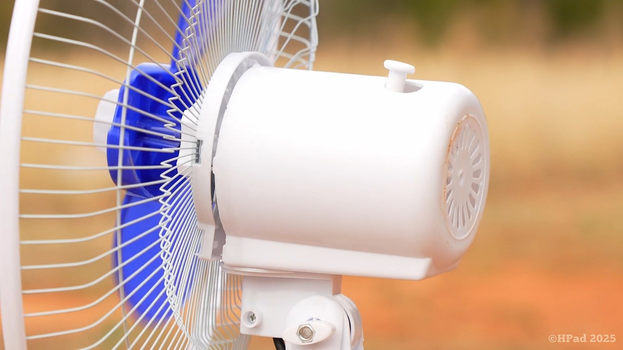 Blue Blade Stand Fan Dance