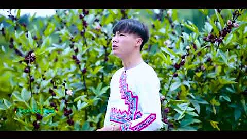 Nqa Tsis Tau Daim Ntawv %5B Yang Her Cover Official 4K %5D 10 10 2019360p