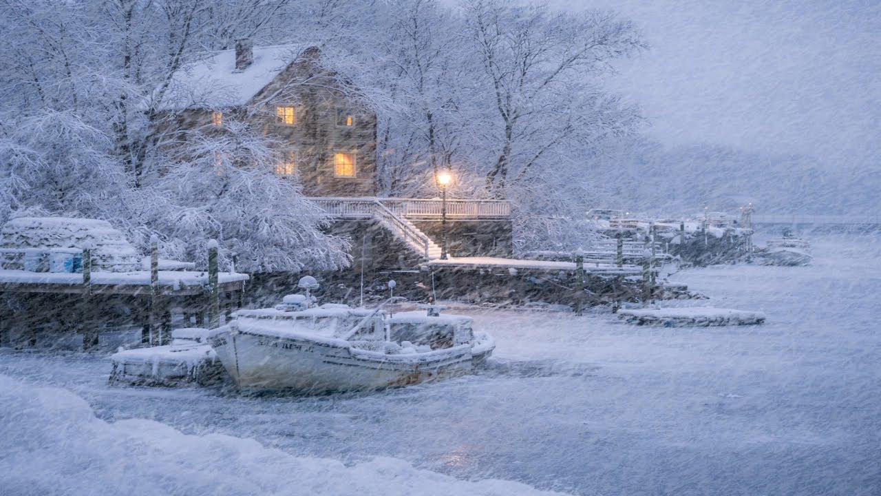 Winter Storm Ambience with Icy Howling Wind Sounds for Sleeping | Wind ...