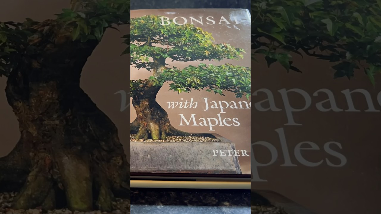 Intermediate Level Bonsai Books: 4 