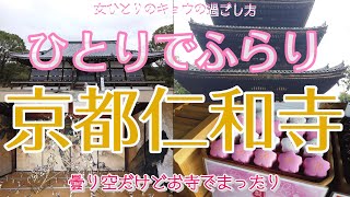【京都仁和寺編 女ひとり散歩】ひとりでふらりお寺歩き/仁和寺/ランチ/かき氷/曇り空 | 京都で暮らす女の日常Vlog