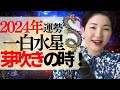 【占い】2024年一白水星さん運勢「芽吹きのタイミング!アナタらしさを取り戻し表舞台に立つ為の1年」2023年振り返り・全体のテーマ・前半・中盤・後半・3つの開運アクション