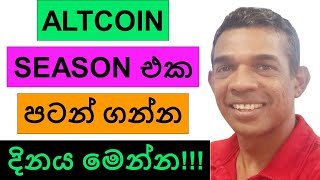 THIS IS THE TIMELINE FOR THE ALTCOIN SEASON!!! | BITCOIN AND ETHEREUM