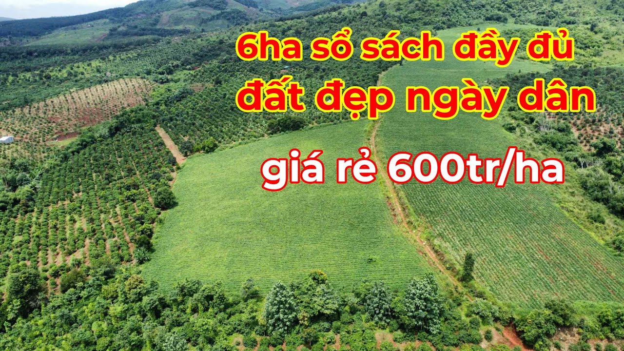 Đã Bàn) 6 ha đất đẹp giá chỉ 600tr/ha sổ sách đầy ngay dân cư lh 0366592989