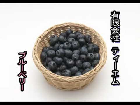 FARM HAKUBA Blueberry Garden（白馬農場 ブルーベリー園）の紹介動画サムネイル