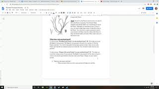 E-Learning 5th Grade: Week 5