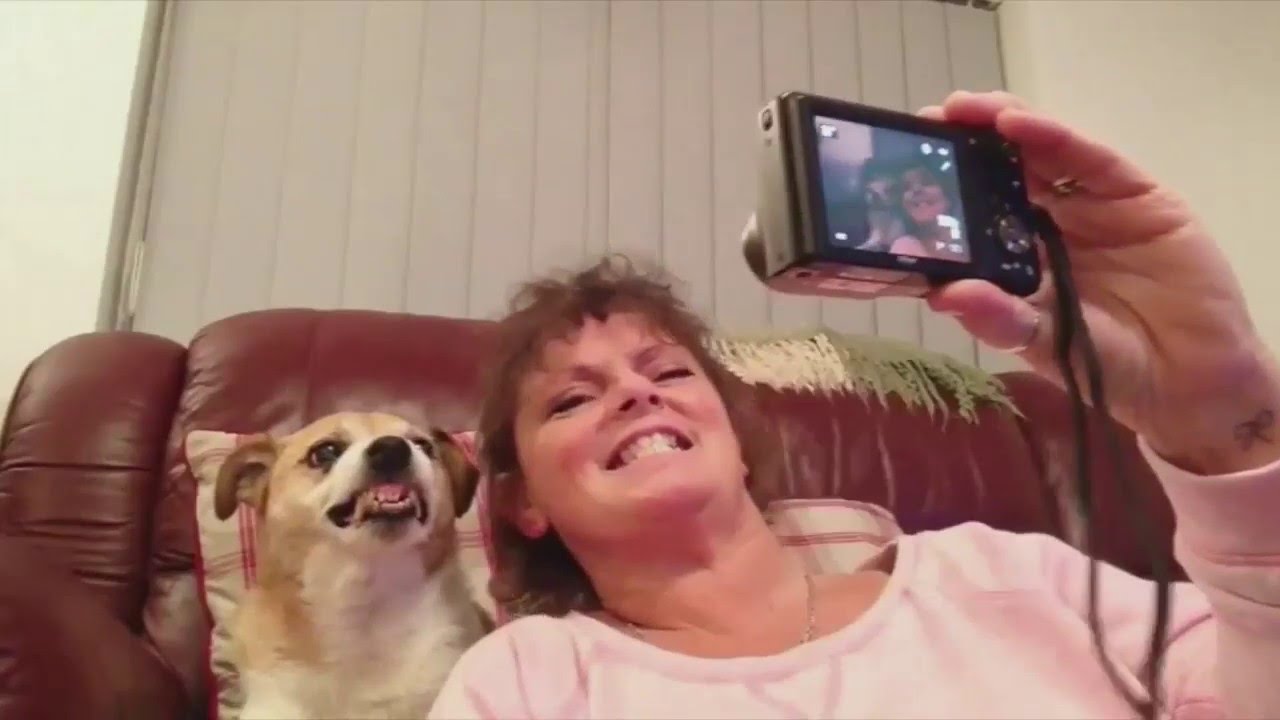 Dog Smiles for Selfie - YouTube
