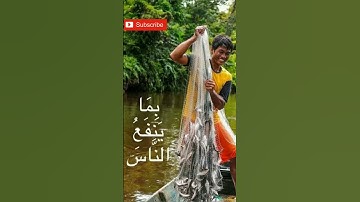 "لآيات لقوم يعقلون"