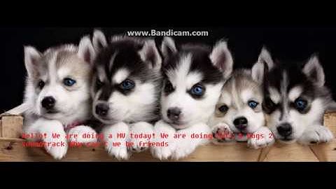 Transformice mv|Why can