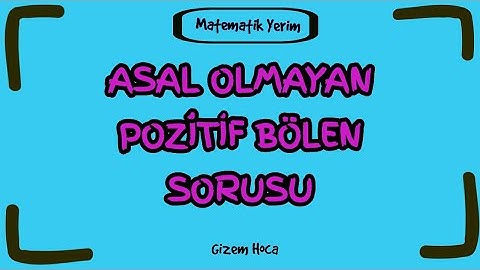 Asal Olmayan Pozitif Bölen Sayısı Sorusu