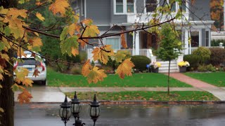 Sony ZV-1 4K Test Video: Focus Tests in the Rain