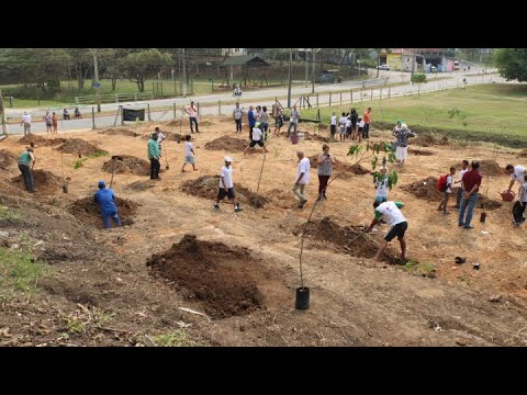 Revitalização da Área de Preservação Permanente do córrego Alambari - Projeto Ecomuseu SJC