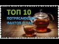 ТОП 10 Потрясающих фактов о чае