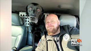 Retiring bomb dog gets a surprise gift!