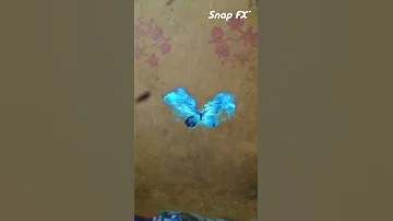 الفراشه السحريه الجزء الاول 