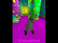 RAT DANCE #shortsvideo #rat #dance