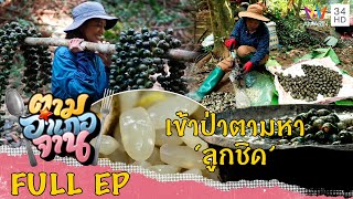 เข้าป่าตามหา 'ลูกชิด' จ.น่าน | ตามอำเภอจาน | 25 ก.พ.66 Full EP