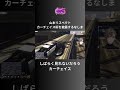 【ALLIN】山本さんリスペクトのチェイス技を披露するなしま【なしまかな視点11/27配信分】#ストグラ #ストグラ切り抜き #にじさんじ叶