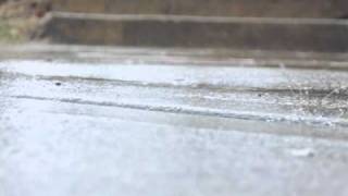 The Album Leaf - Gust Of