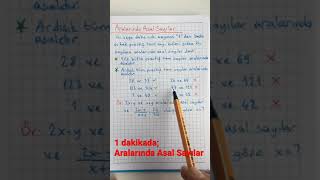 1 Dakikada Aralarında Asal Sayılar